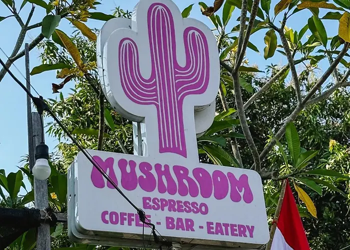 Hotel El Campo Mushroom