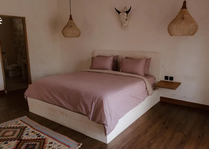 Hotel El Campo Mushroom